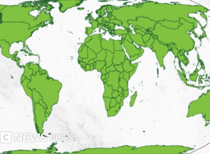 06a2d540-a918-11f1-b109-879e35c24276.png