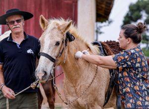 08-vacinacao-cavalos-foto-carlos-poly15.jpg