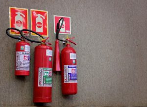 4cb62712-ee1d-422f-9035-22da0feb6273.jpeg