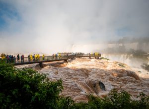 DSC08042-scaled.jpg