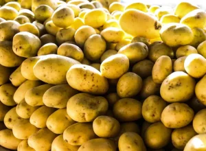 batata-valter-Campanato-Agencia-Brasil-1024x613.webp.webp