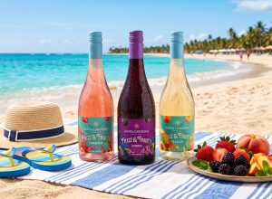capa-santa-carolina-frizz-fruity-praia-1400px.jpg