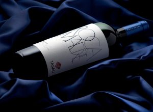 capa-tabali-roca-madre-1400px.jpg