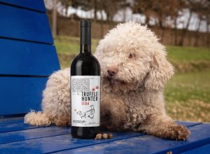 capa-truffle-hunter-leda-dolcetto-ambientada-1400px.jpg