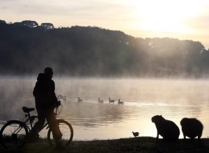 frio-parana.jpg
