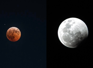 fundo-vermelho-4-.png