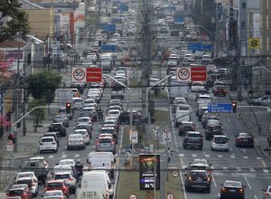 transito-albari-rosa-aen.jpg
